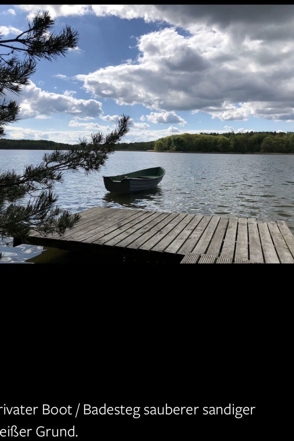 Reetdach Ferienhaus am Lübbesee Sauna Bootsteg neu-Binnen