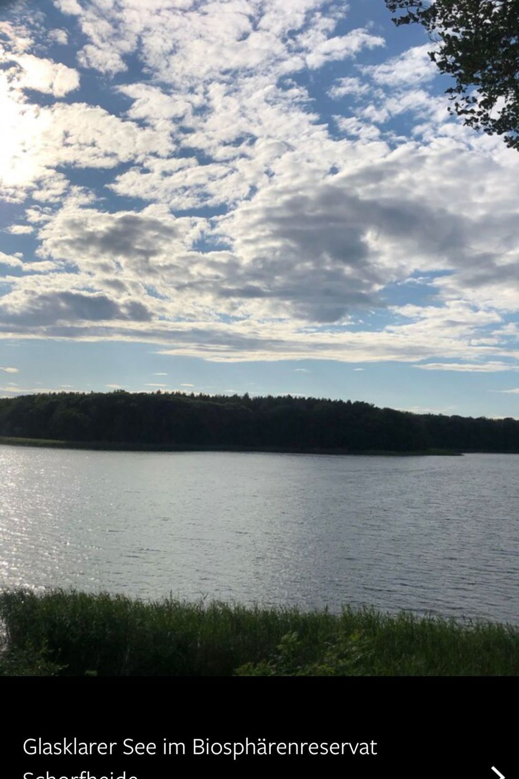 Reetdach Ferienhaus am Lübbesee Sauna Bootsteg neu-Binnen