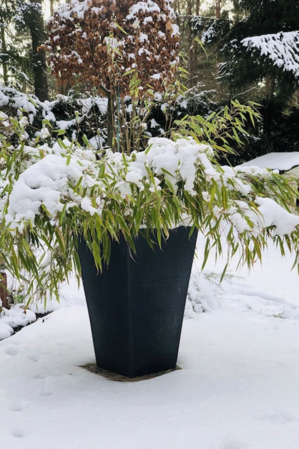 Reetdach Ferienhaus am Lübbesee Sauna Bootsteg neu-Binnen