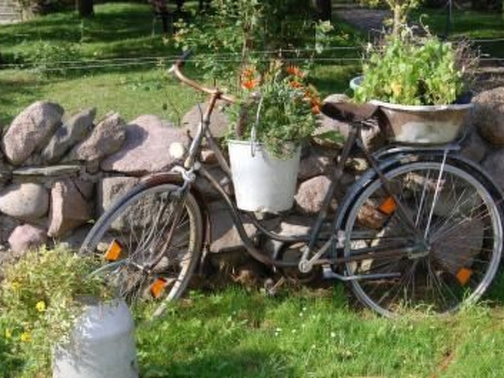 Alleenwiesen-Drinnen