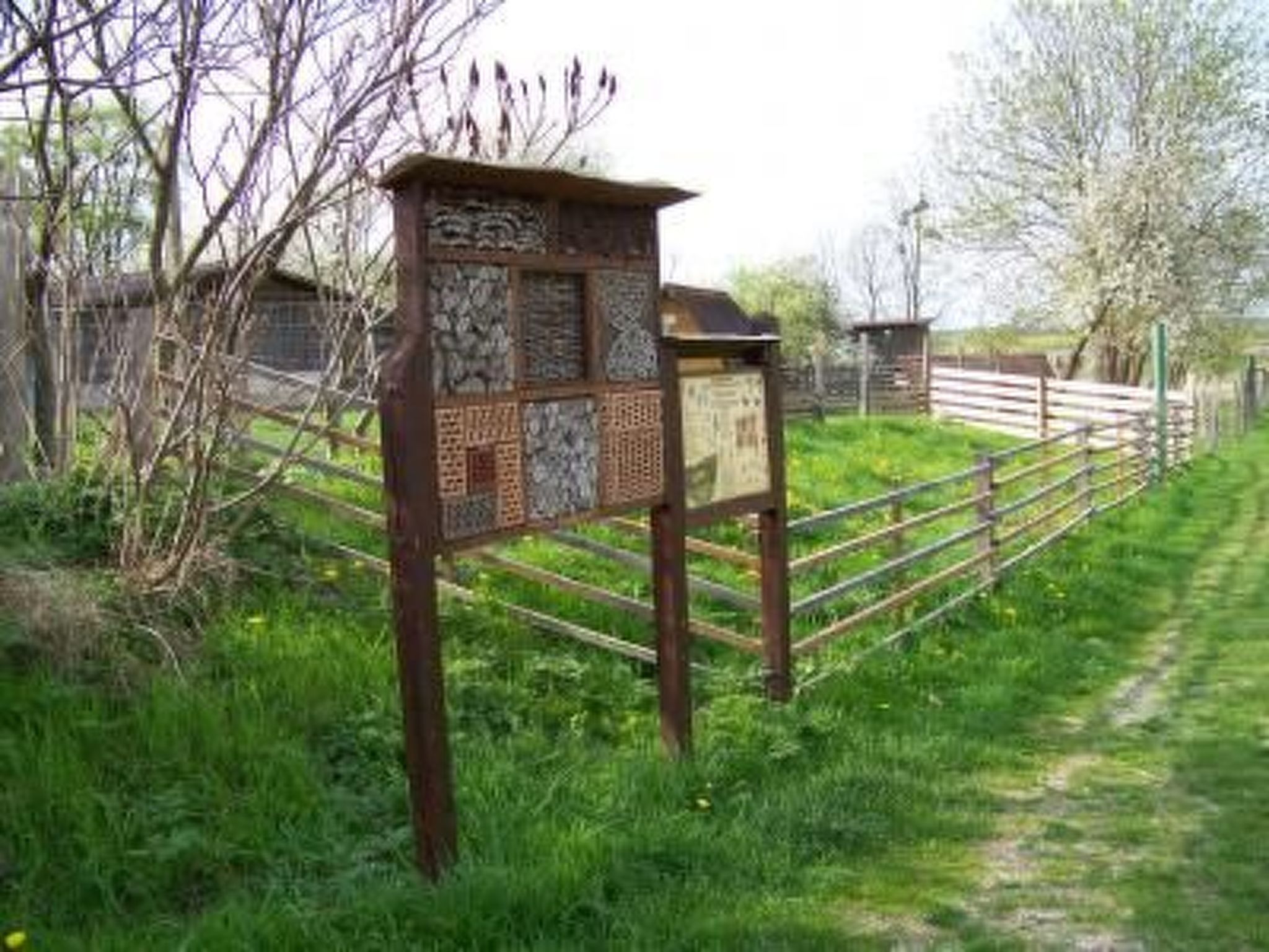 Alleenwiesen-Drinnen