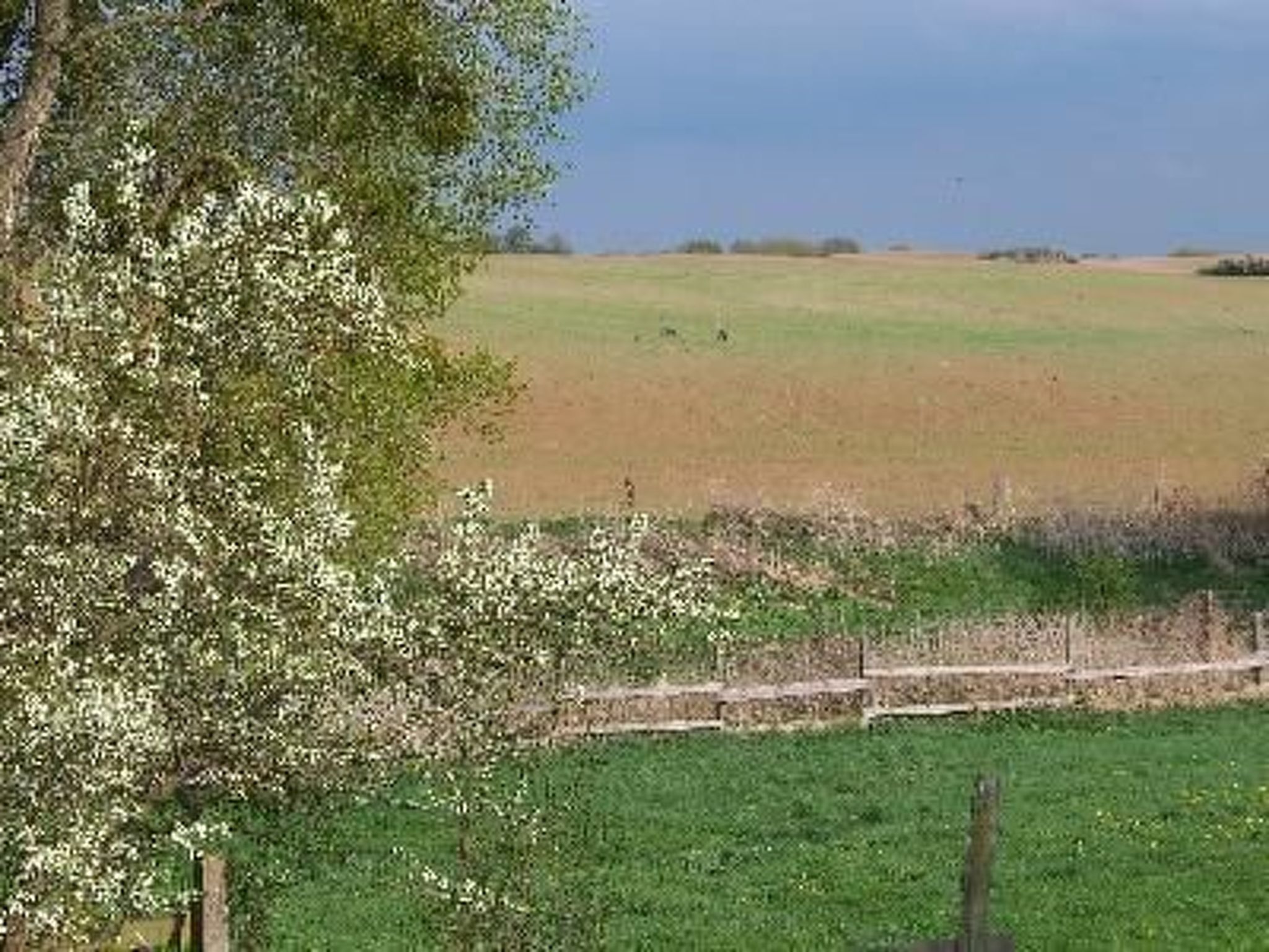 Zu den drei Schönen-Drinnen