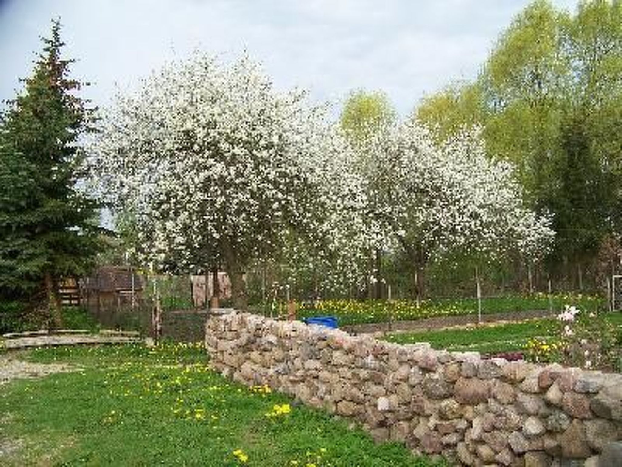 Zu den drei Schönen-Drinnen
