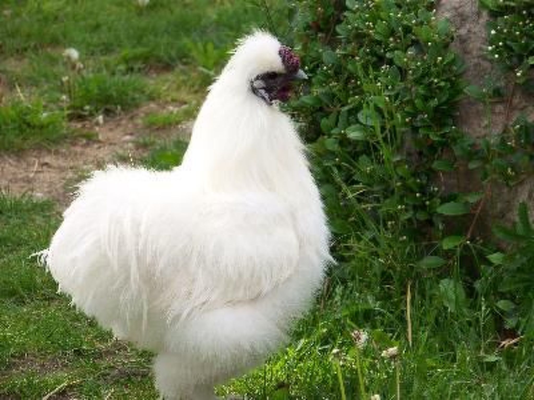 Zu den drei Schönen-Drinnen