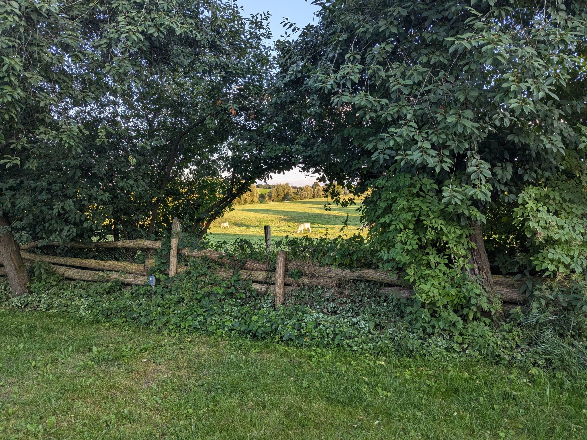In Berkenlatten mit Großer Terrasse-Inside