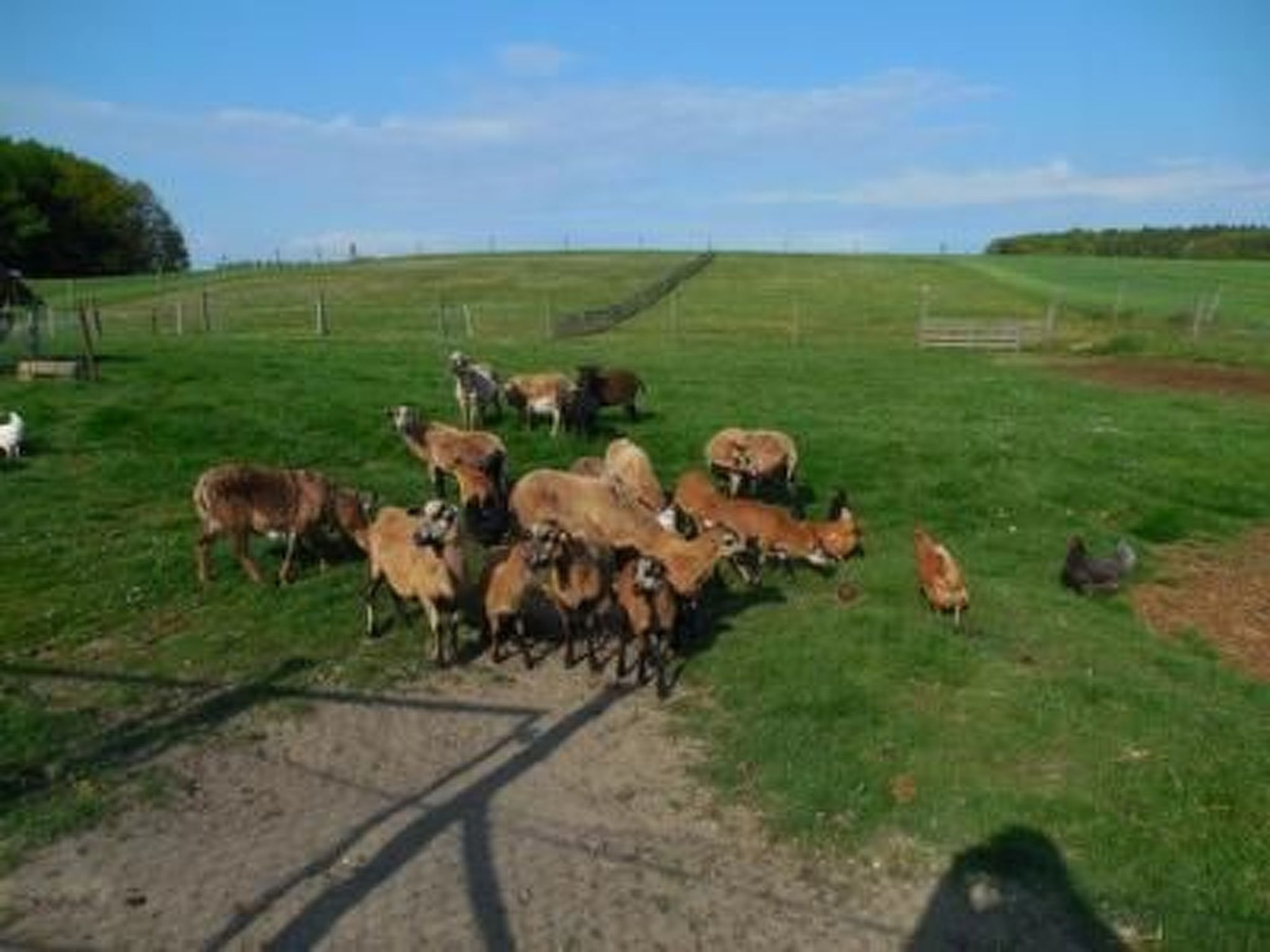 Appartement in Buchenhain mit Großem Garten-Outside
