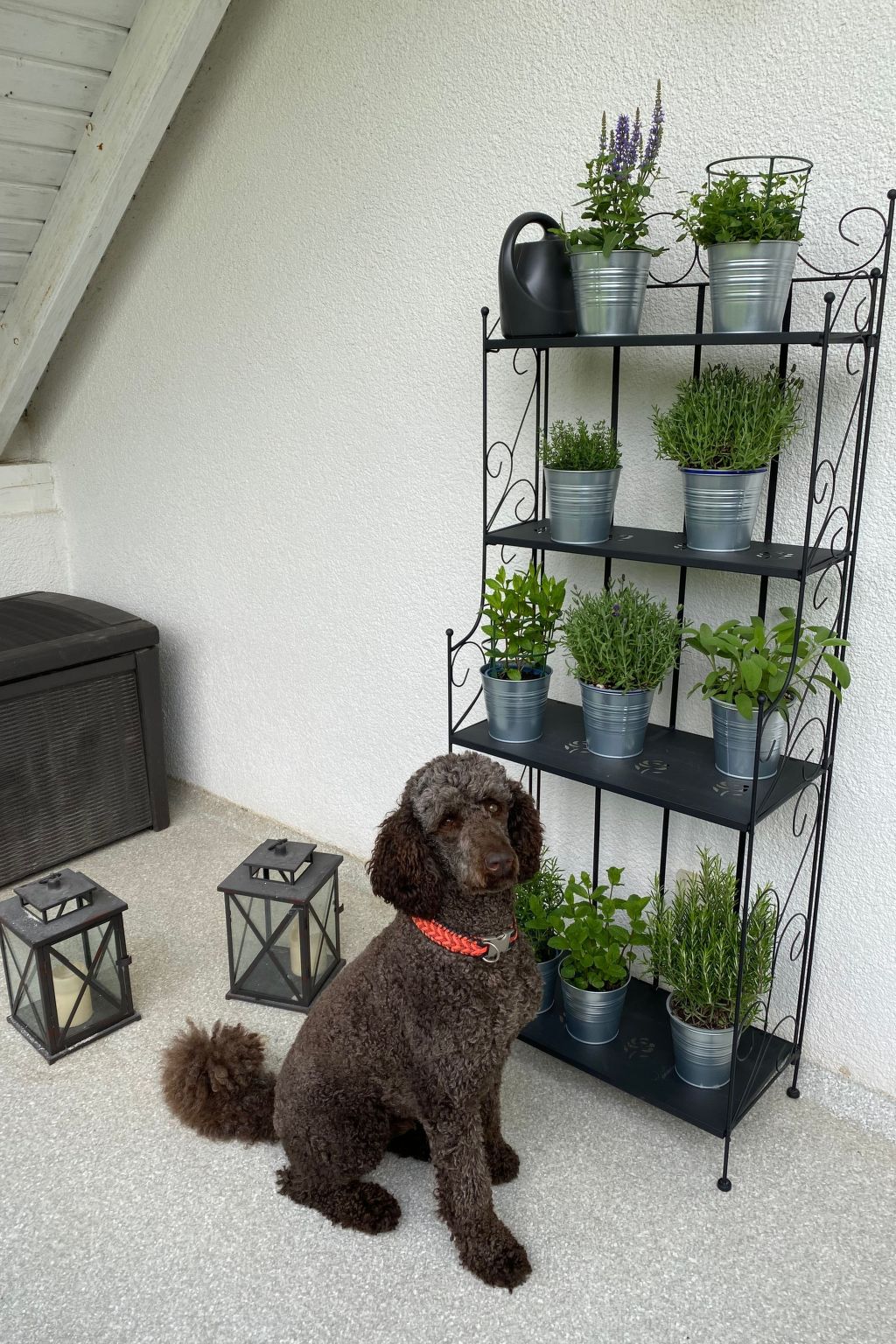 Taunustraum-Image-tags.info