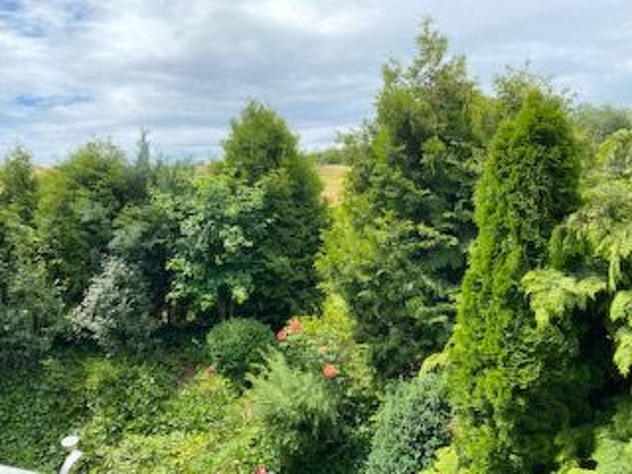 Taunustraum-Image-tags.info