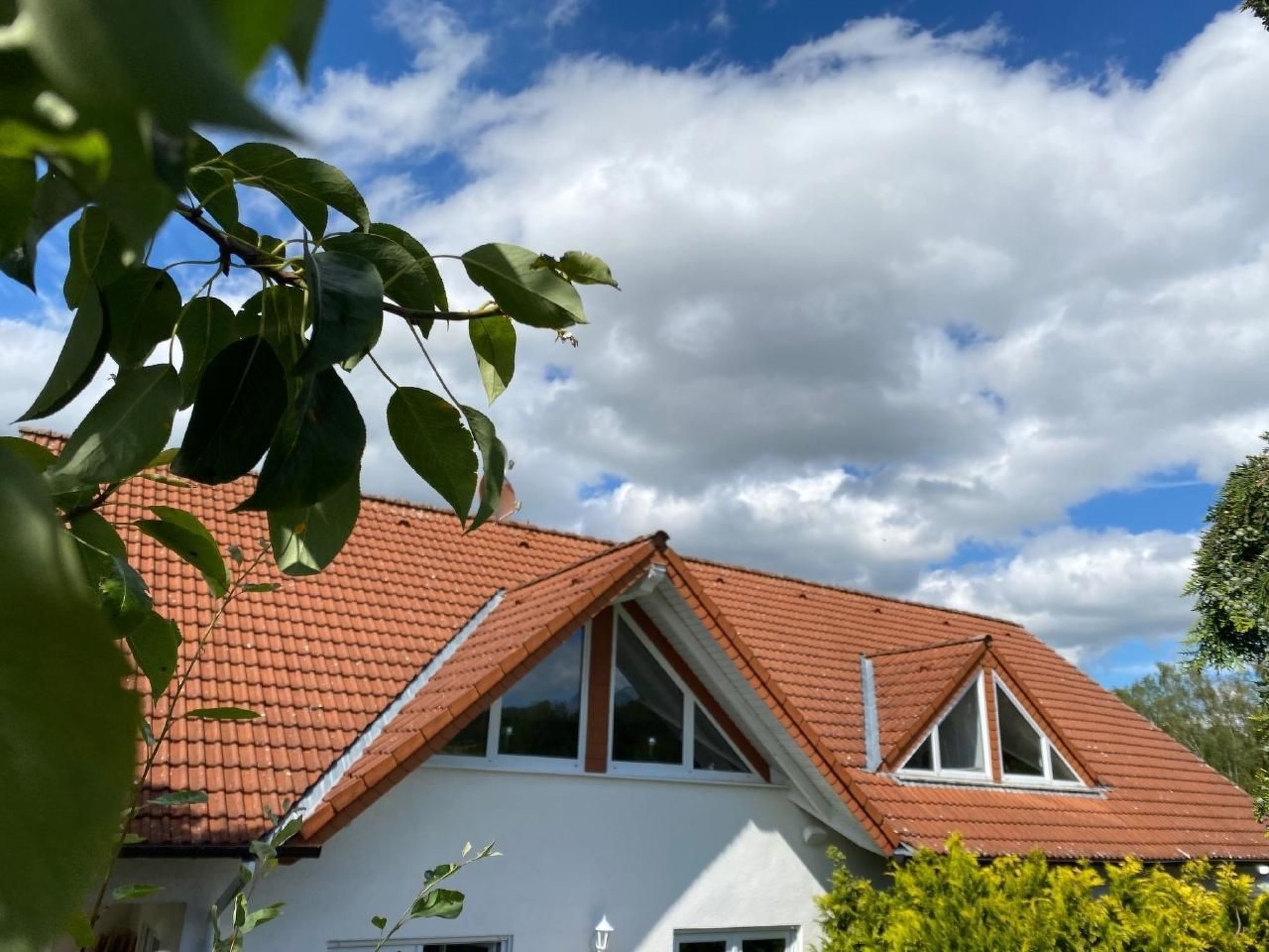 Taunustraum-Image-tags.info