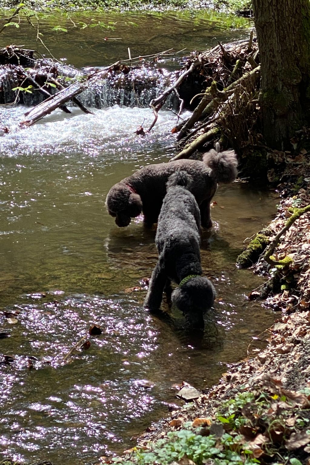 Taunustraum-Image-tags.info