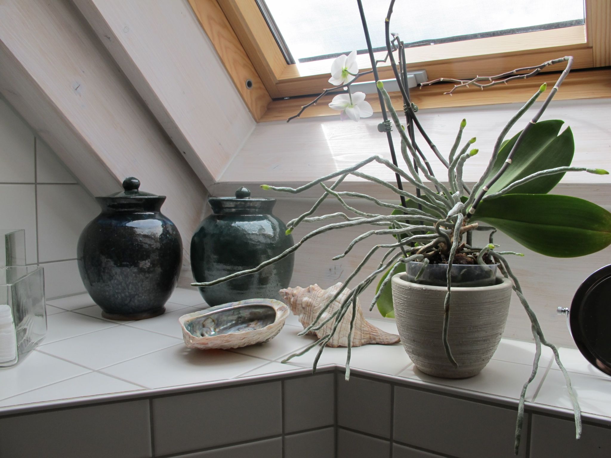 Spessart Bessenbach-Binnen