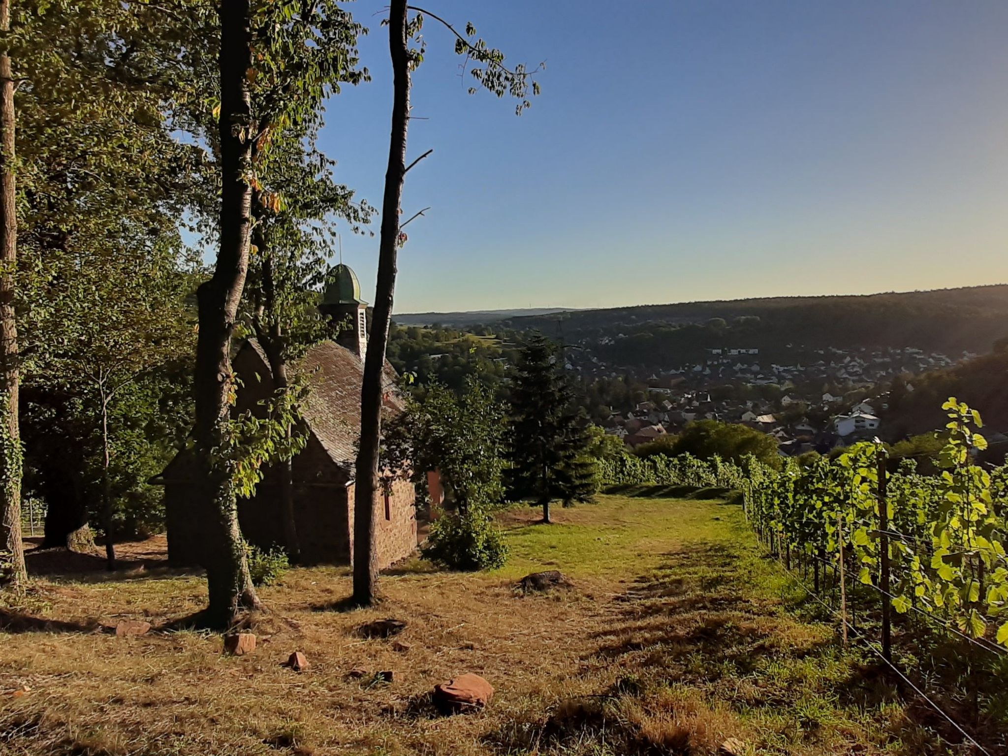 Vineyard-Suites FeWo-Image-tags.info