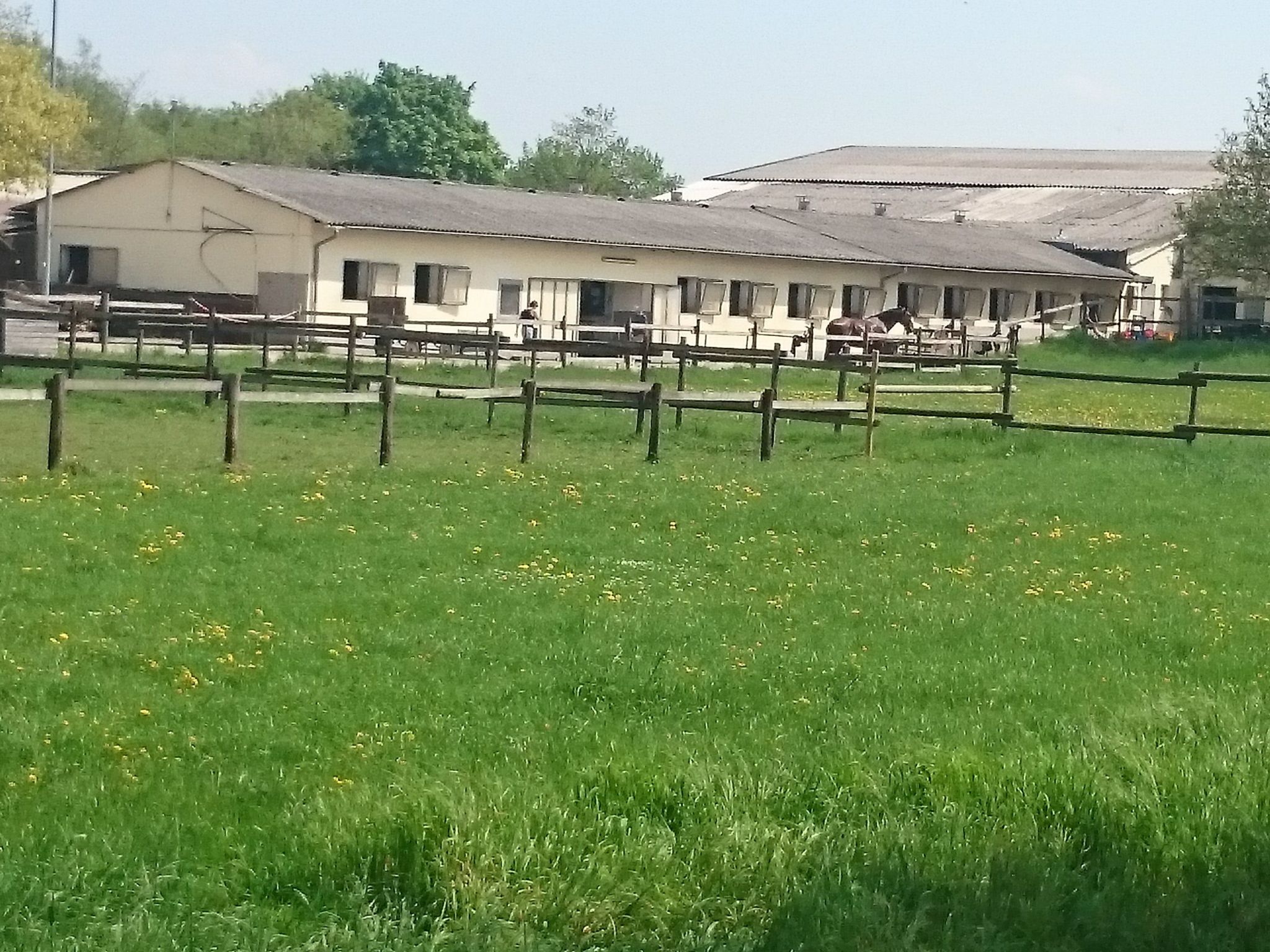 Apartment Laurence-Binnen