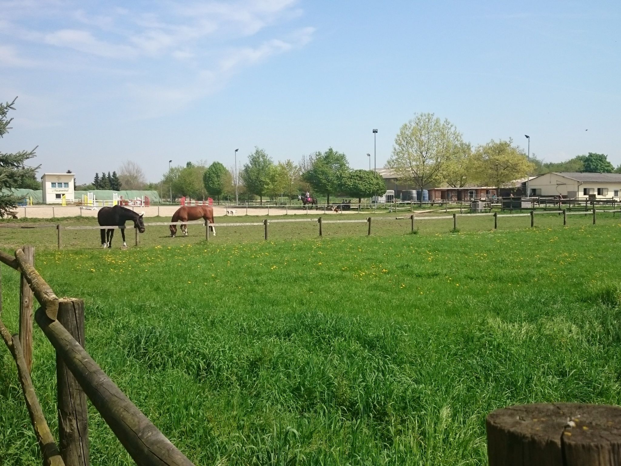Apartment Laurence-Binnen