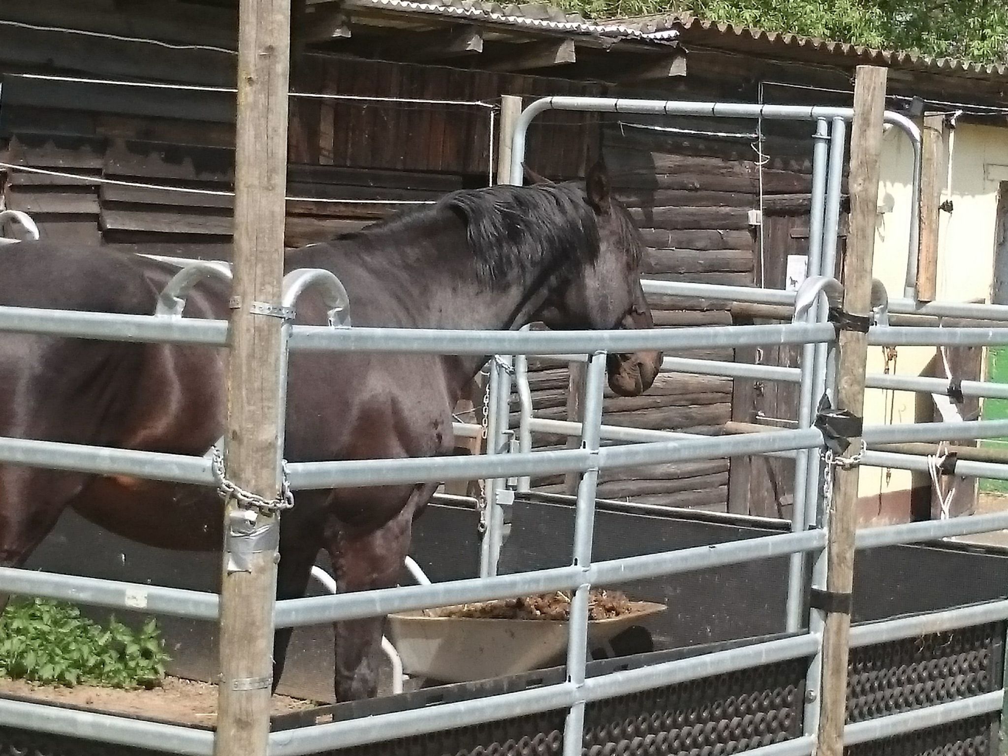 Apartment Laurence-Binnen