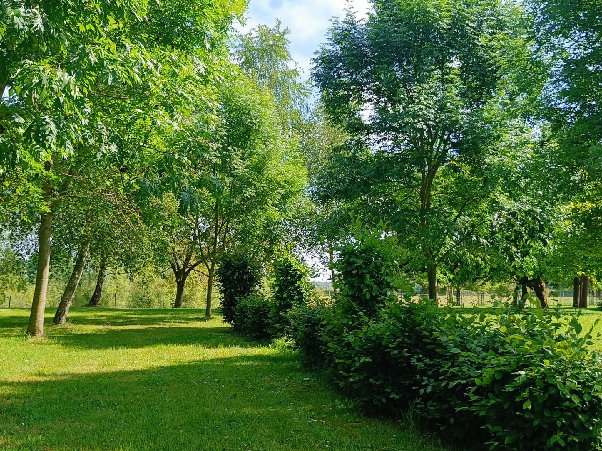 Coproyshof am See-Image-tags.info