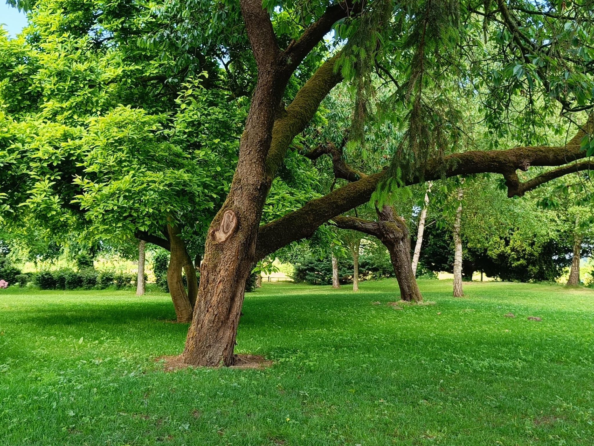 Coproyshof am See-Image-tags.info