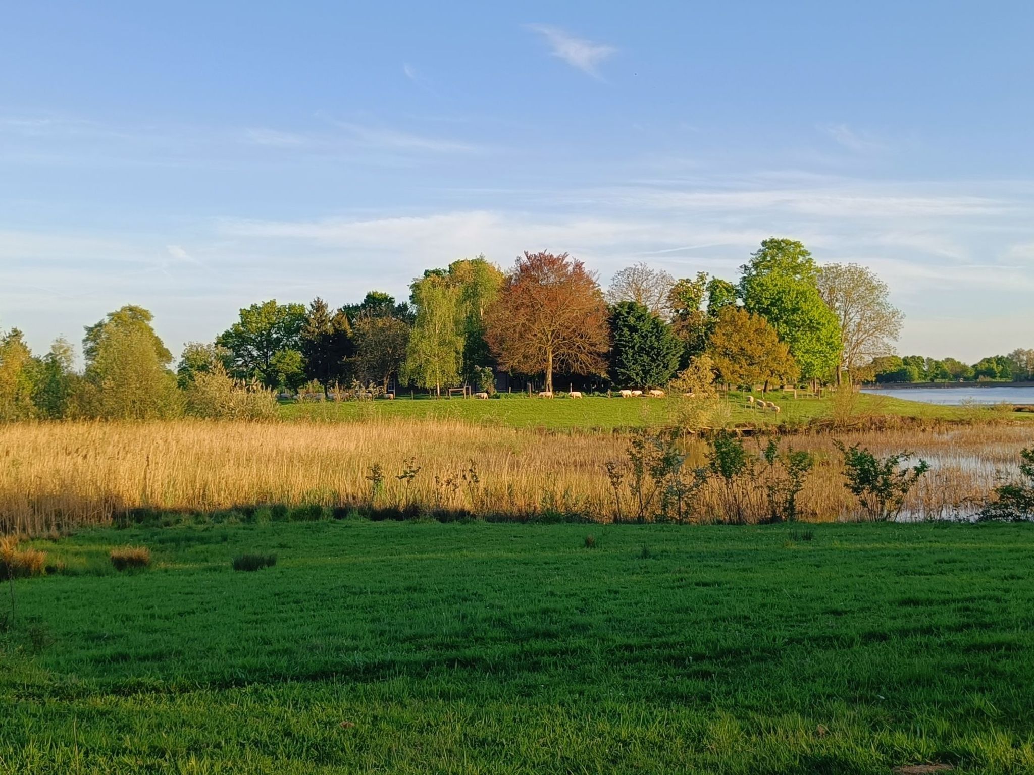 Coproyshof am See-Image-tags.info