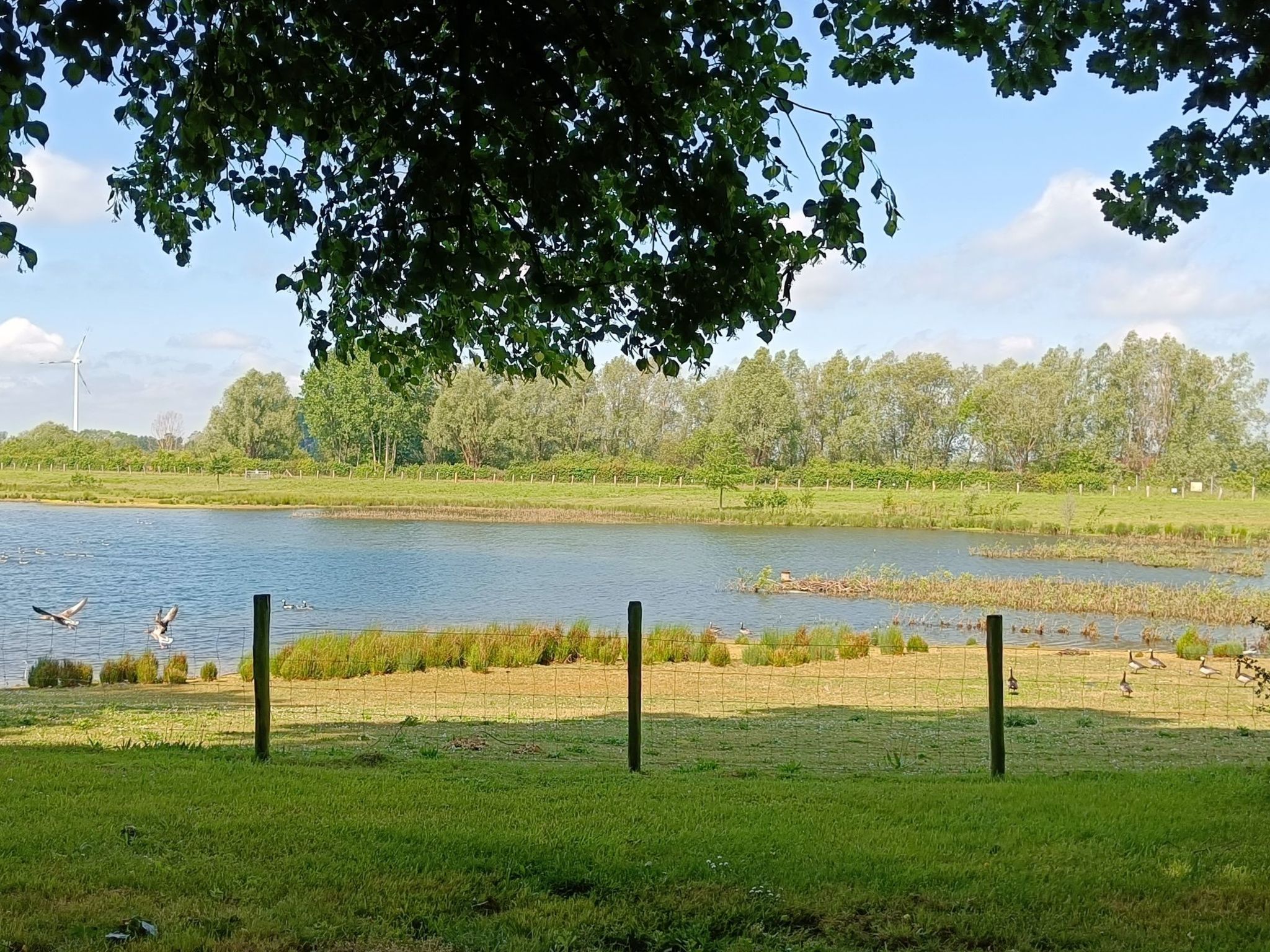 Coproyshof am See-Image-tags.info