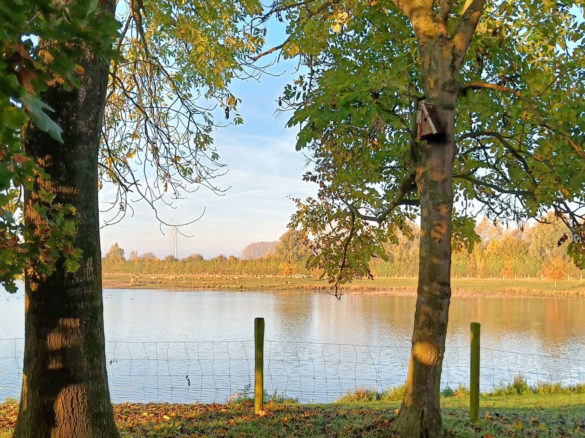 Coproyshof am See-Image-tags.info