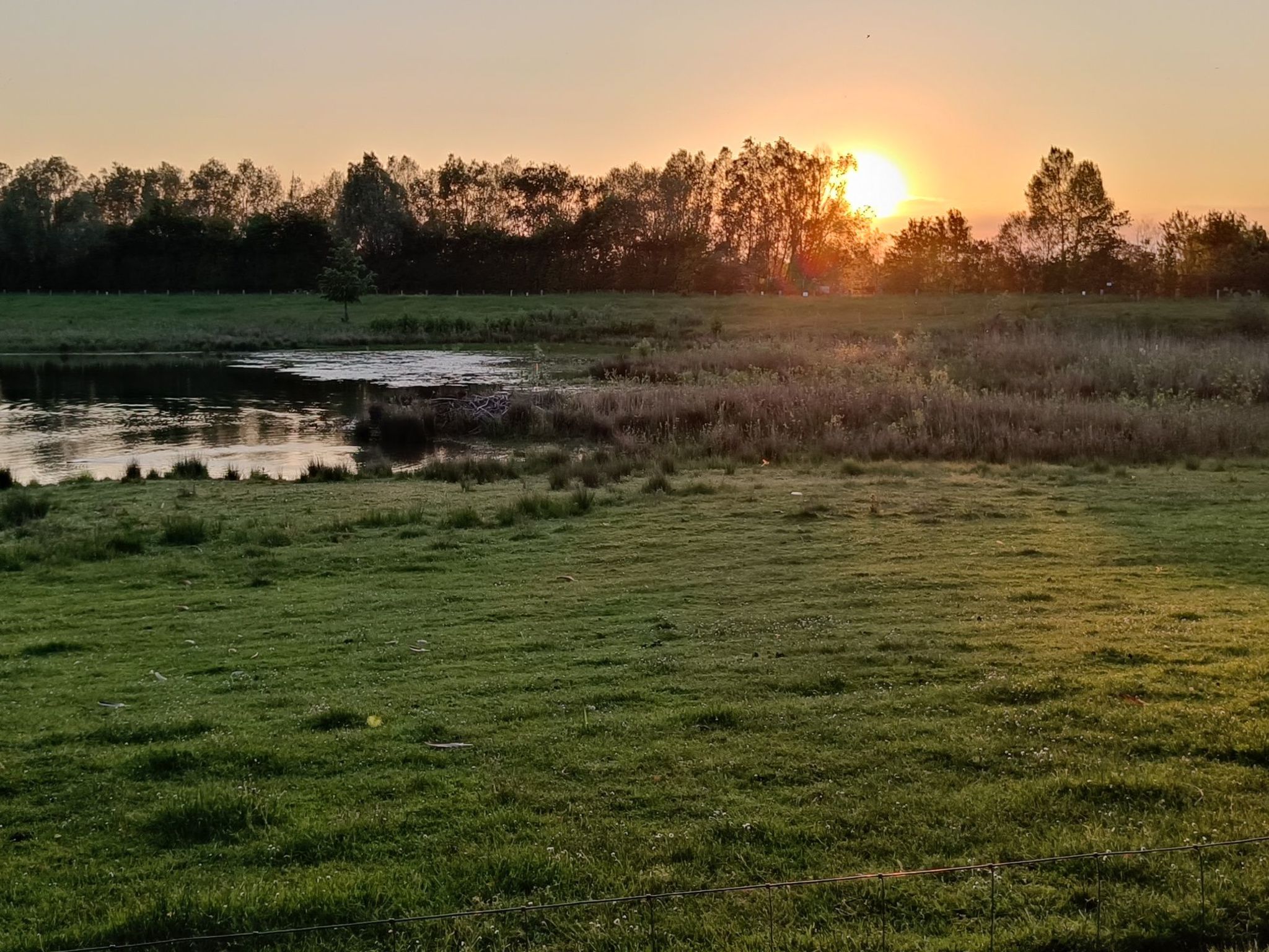 Coproyshof am See-Image-tags.info