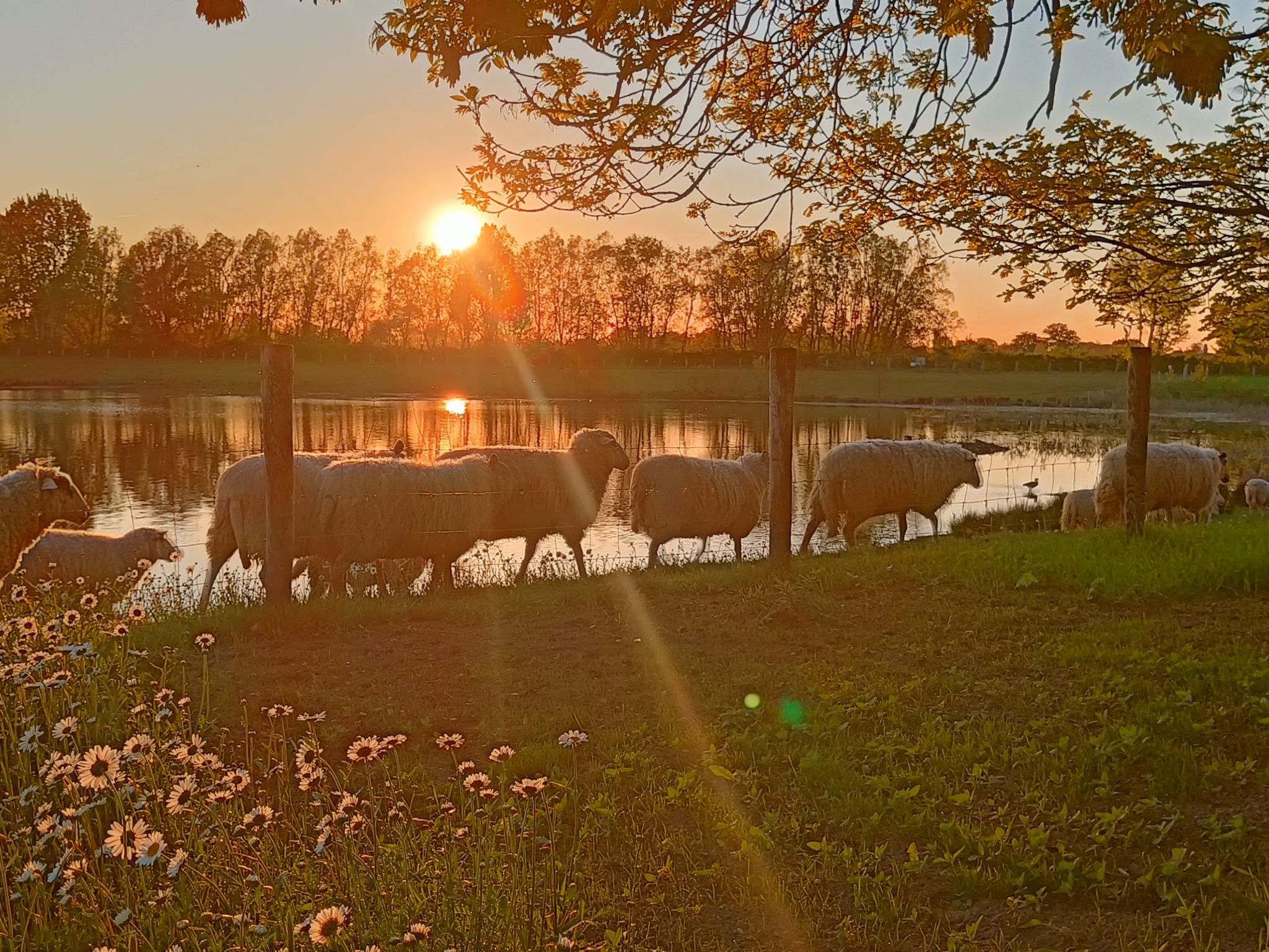 Coproyshof am See-Image-tags.info