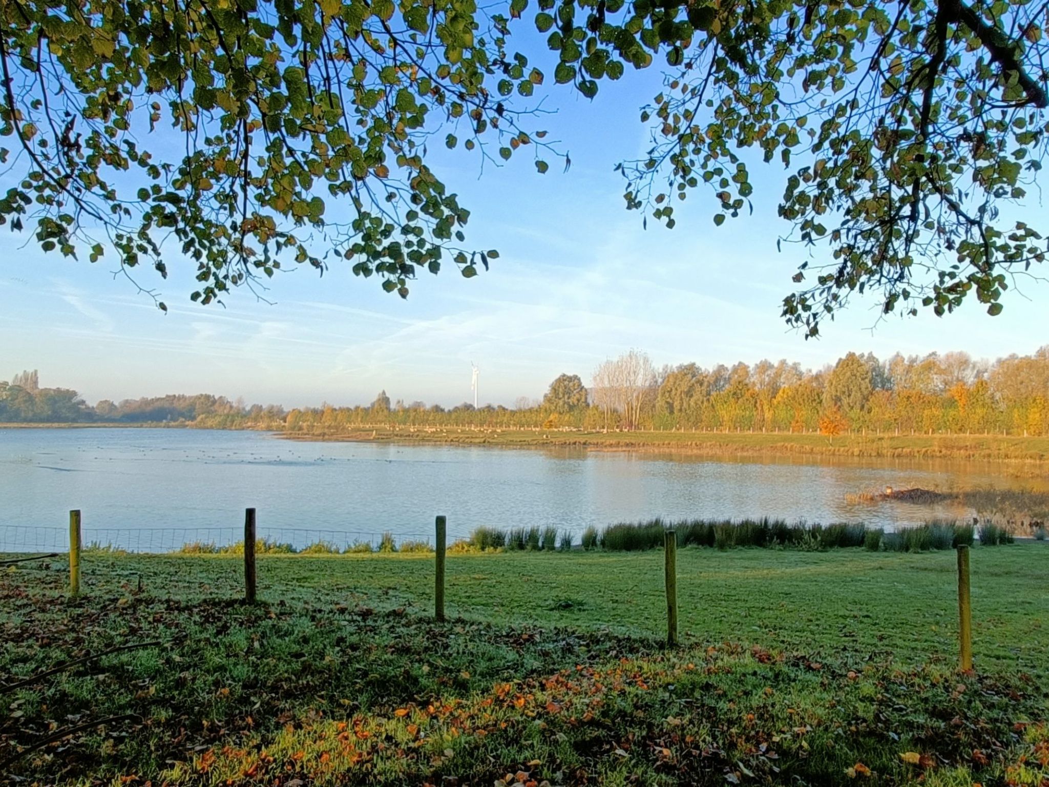 Coproyshof am See-Image-tags.info