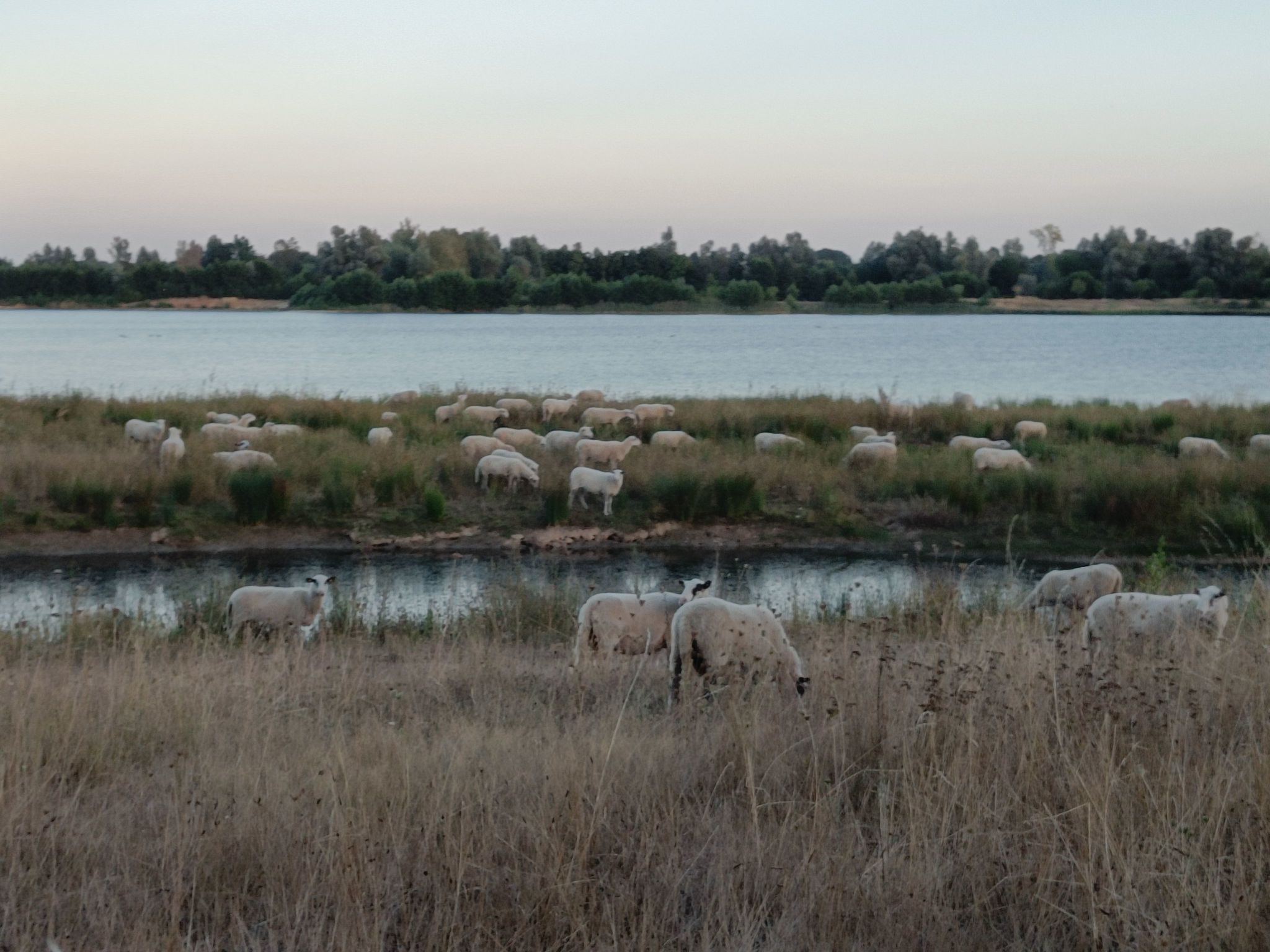 Coproyshof am See-Image-tags.info