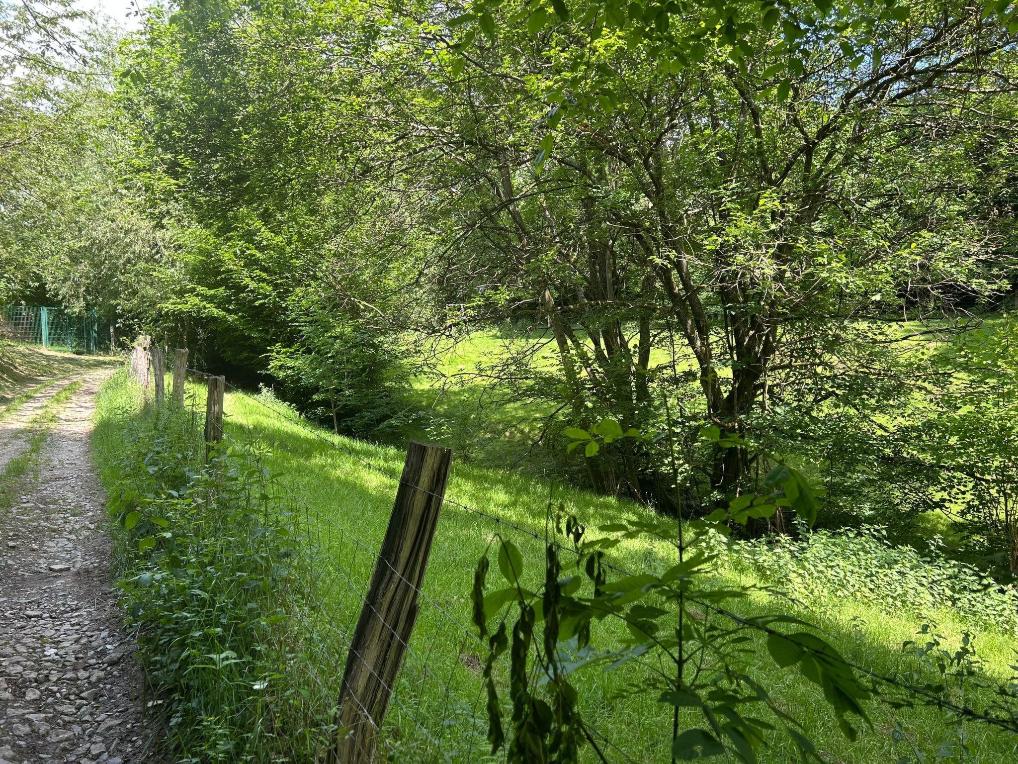 The Forest Retreat-Image-tags.info