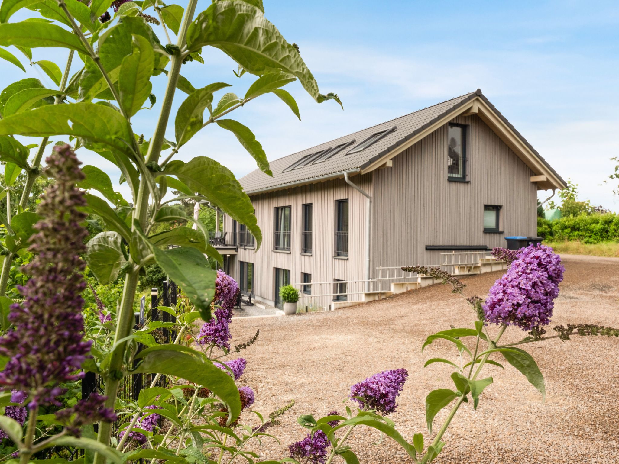 The Forest Retreat-Image-tags.info