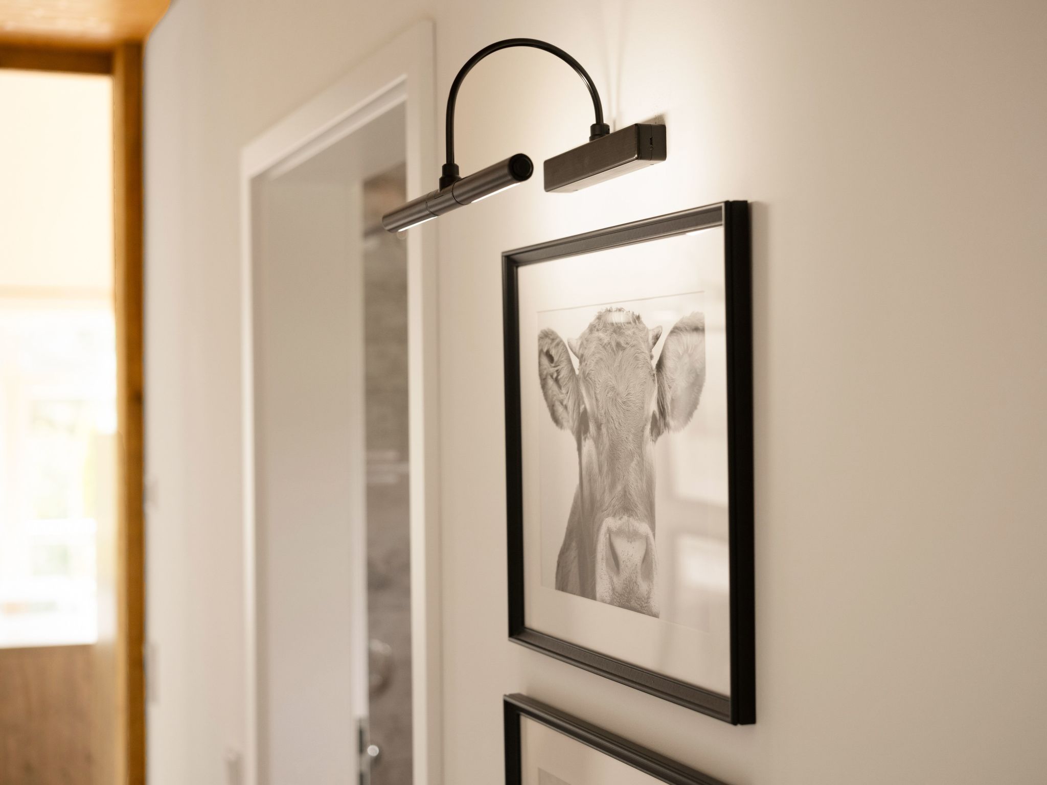 The Forest Retreat-Image-tags.info