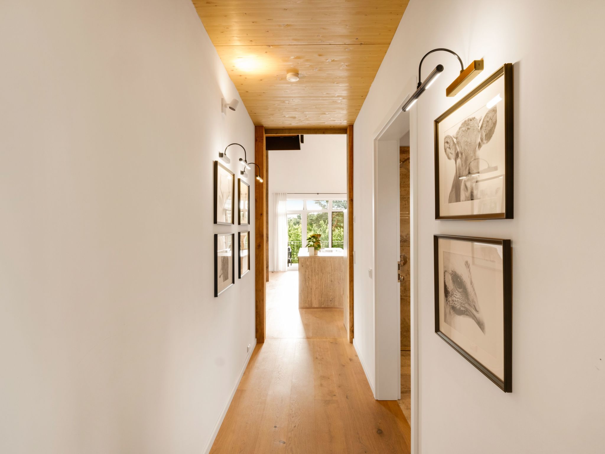 The Forest Retreat-Image-tags.info