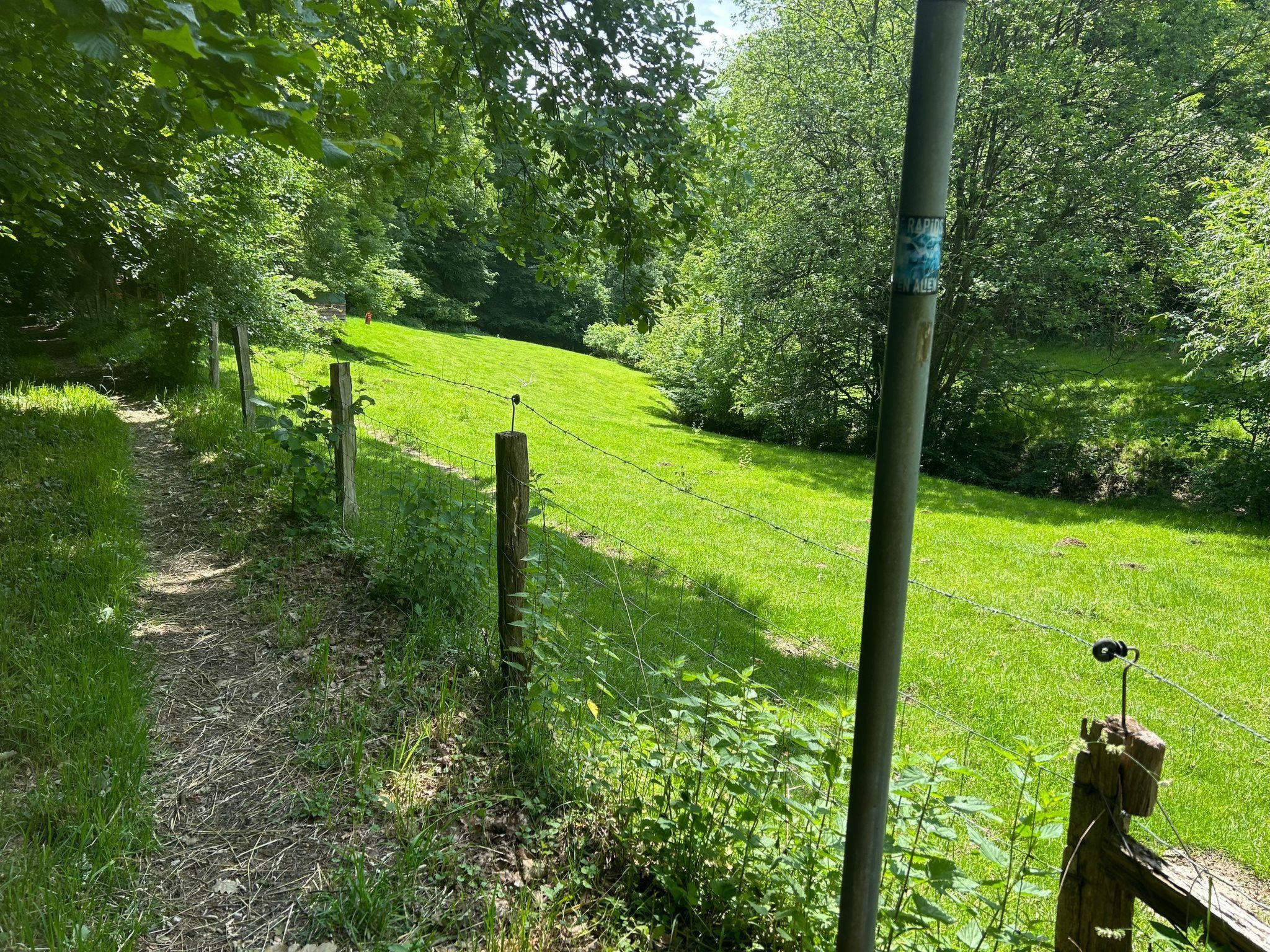 The Forest Retreat-Image-tags.info