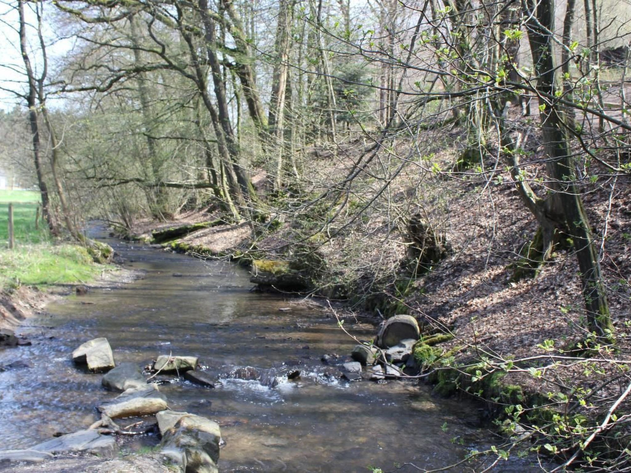 "zum Eifgental"-Image-tags.info