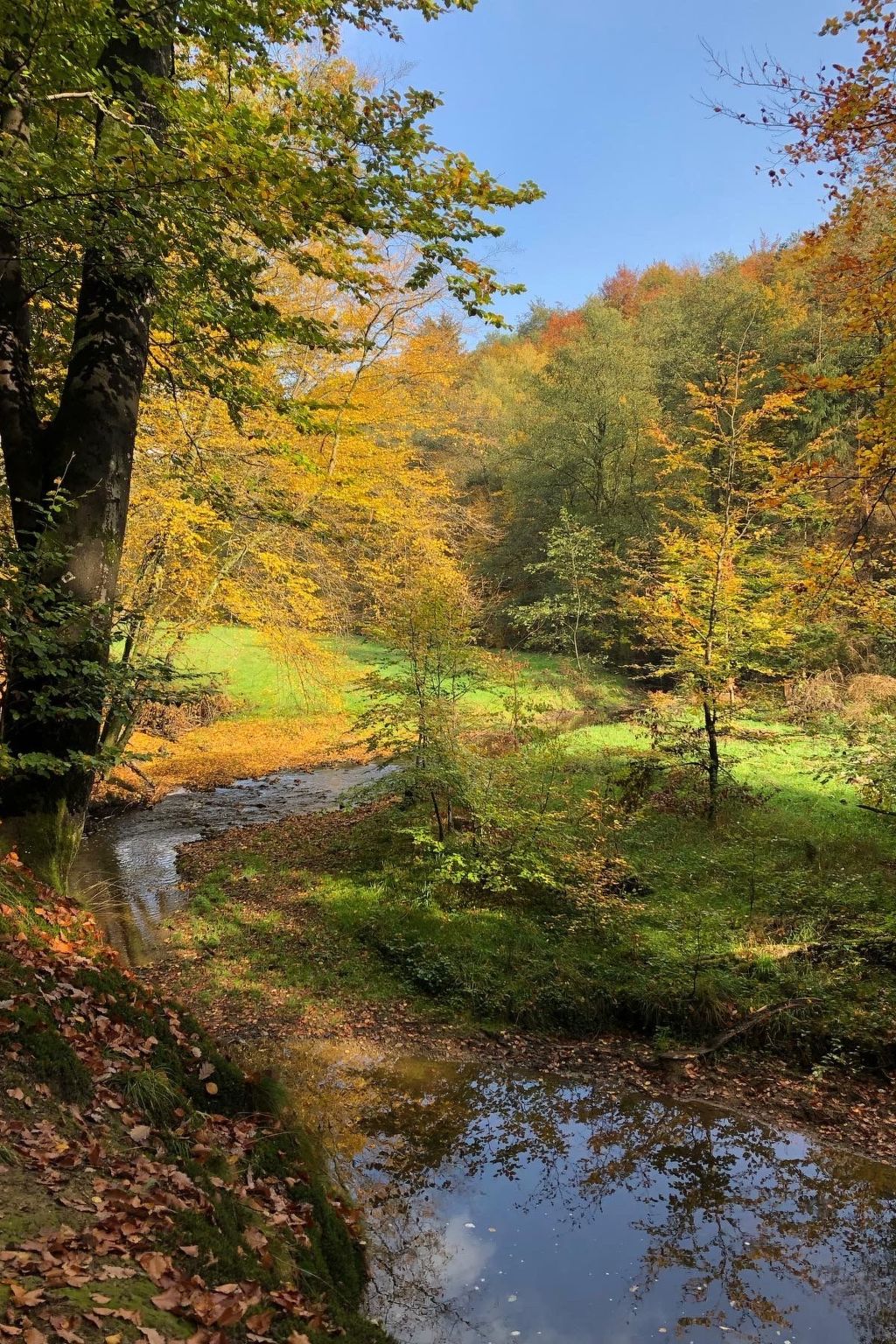 Urbane Remise-Image-tags.info