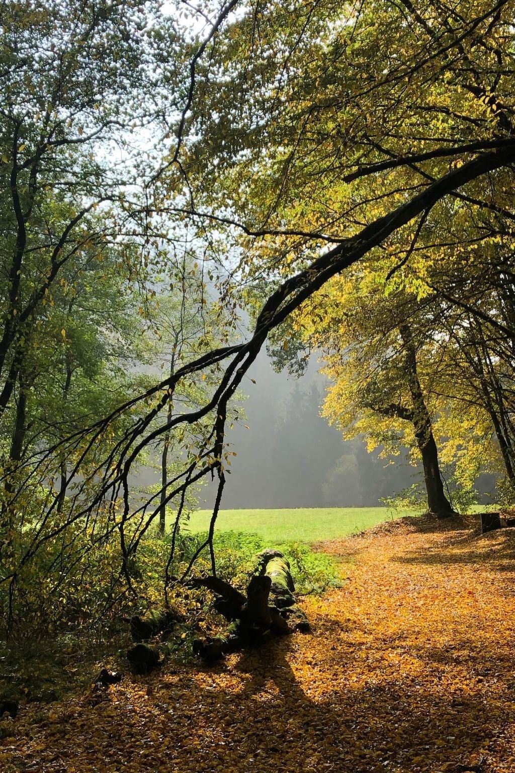 Urbane Remise-Image-tags.info