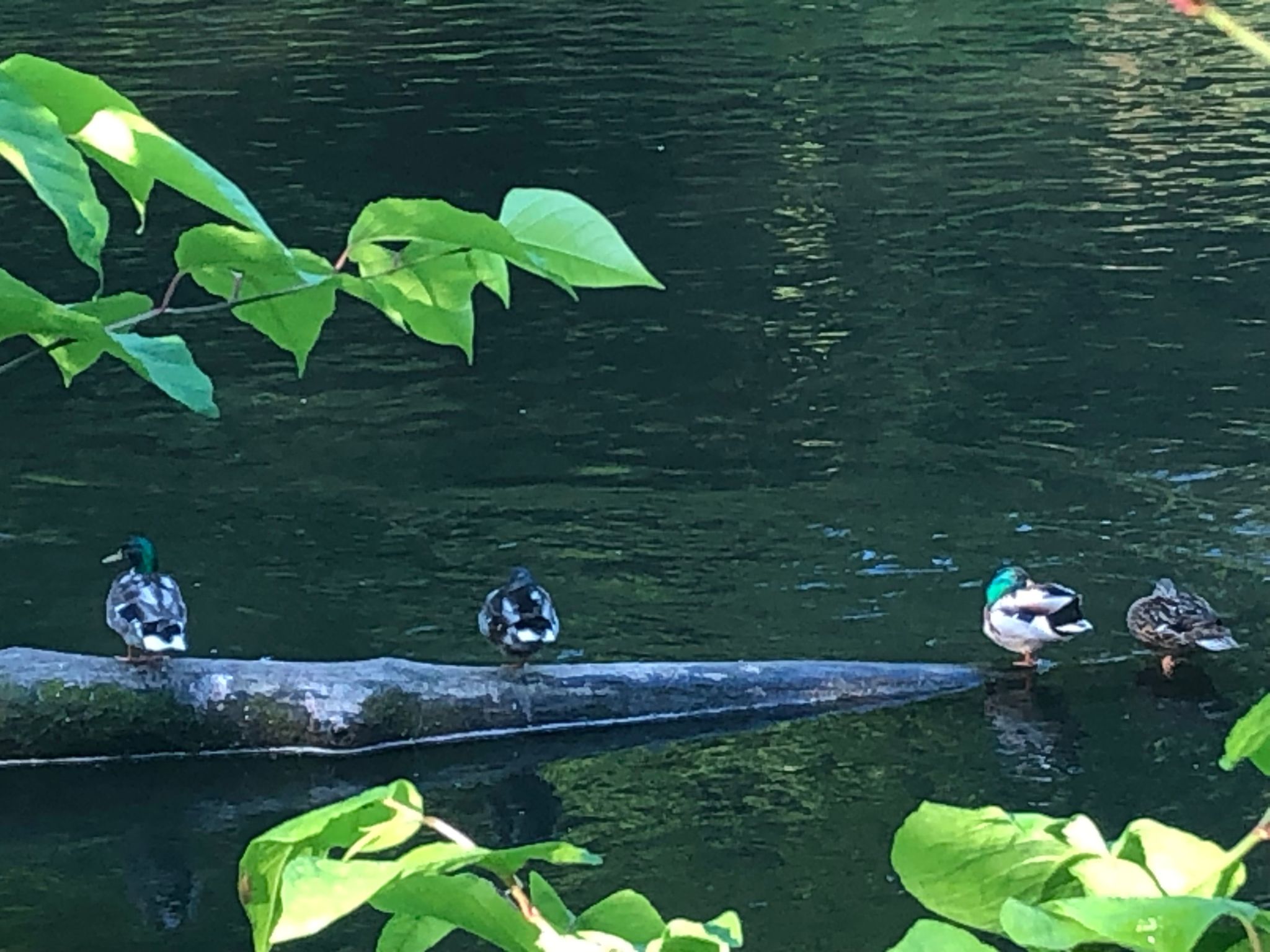 Urbane Remise-Image-tags.info