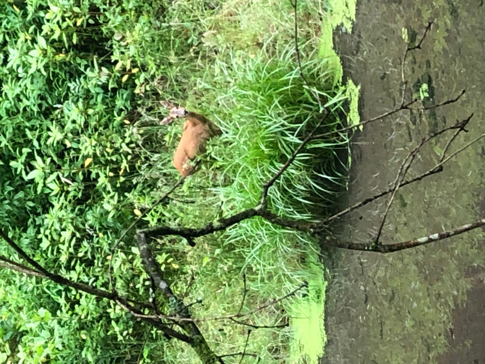 Urbane Remise-Image-tags.info