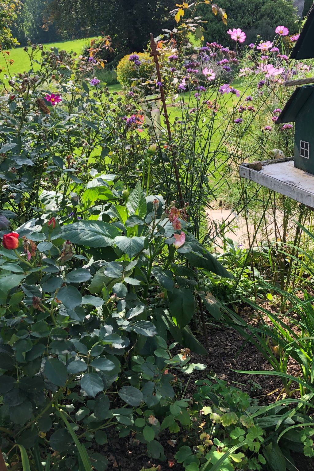 Gartenblick-Image-tags.info