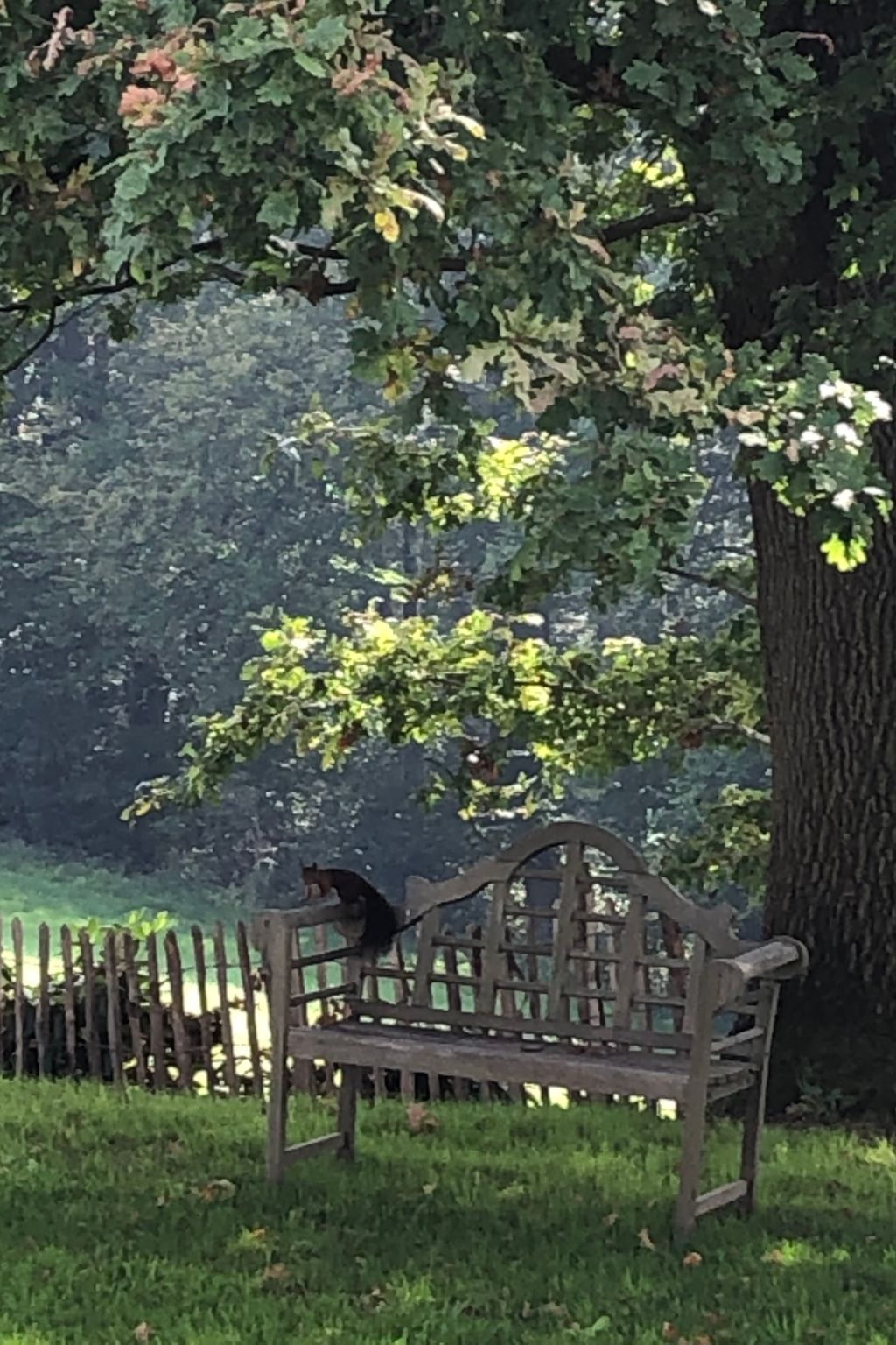 Gartenblick-Image-tags.info