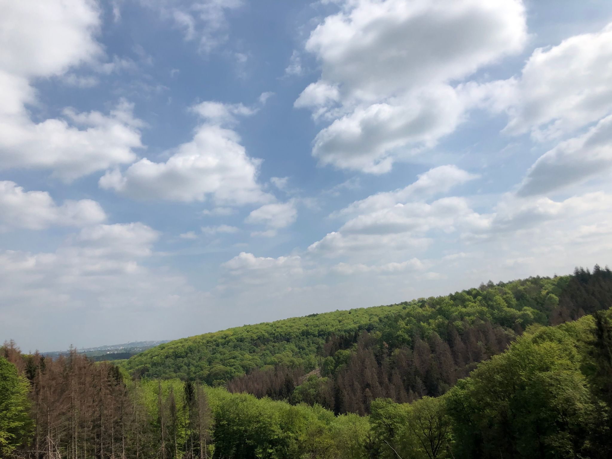 Gartenblick-Image-tags.info