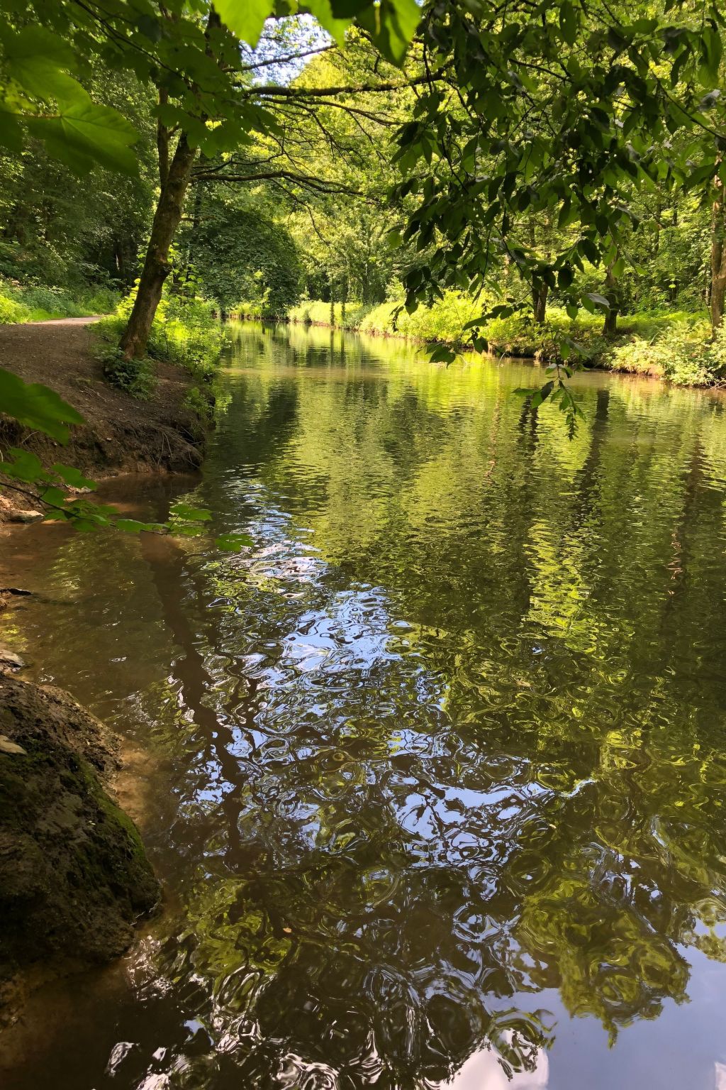 Gartenblick-Image-tags.info