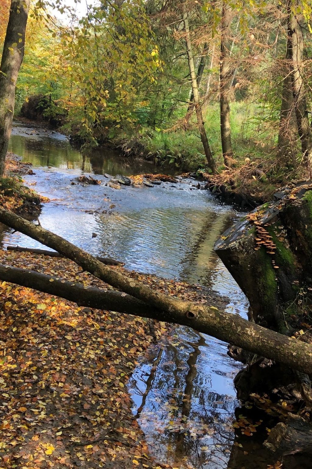 Gartenblick-Image-tags.info