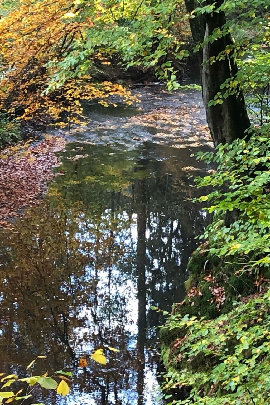 Gartenblick-Image-tags.info