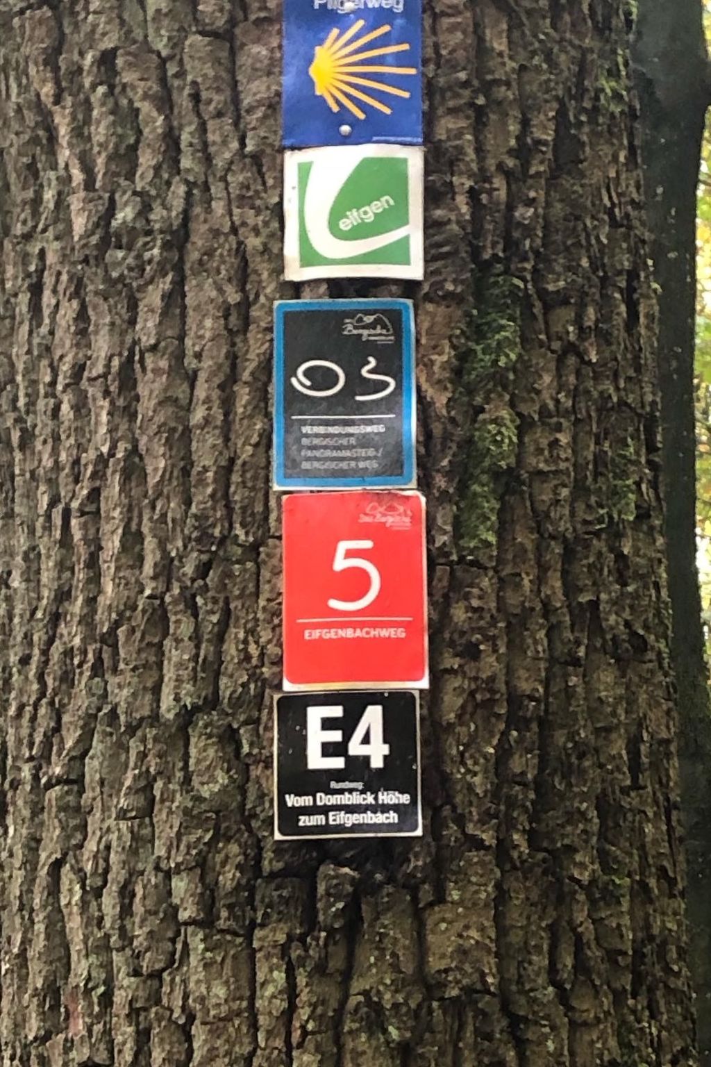 Gartenblick-Image-tags.info