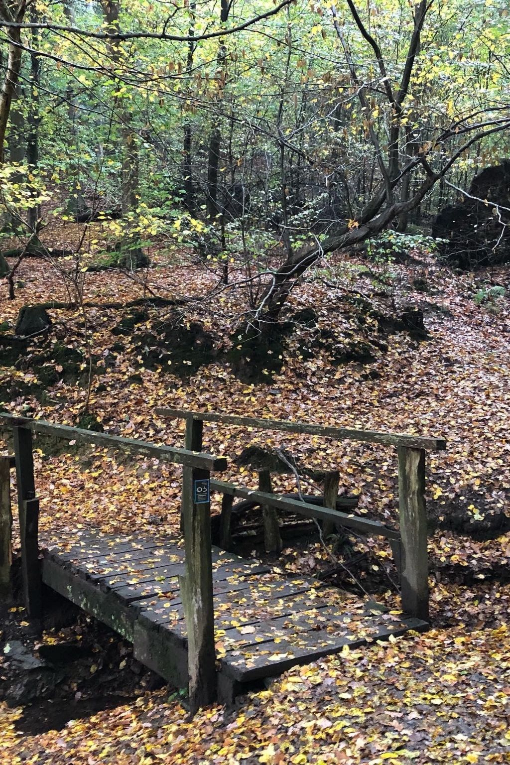 Gartenblick-Image-tags.info