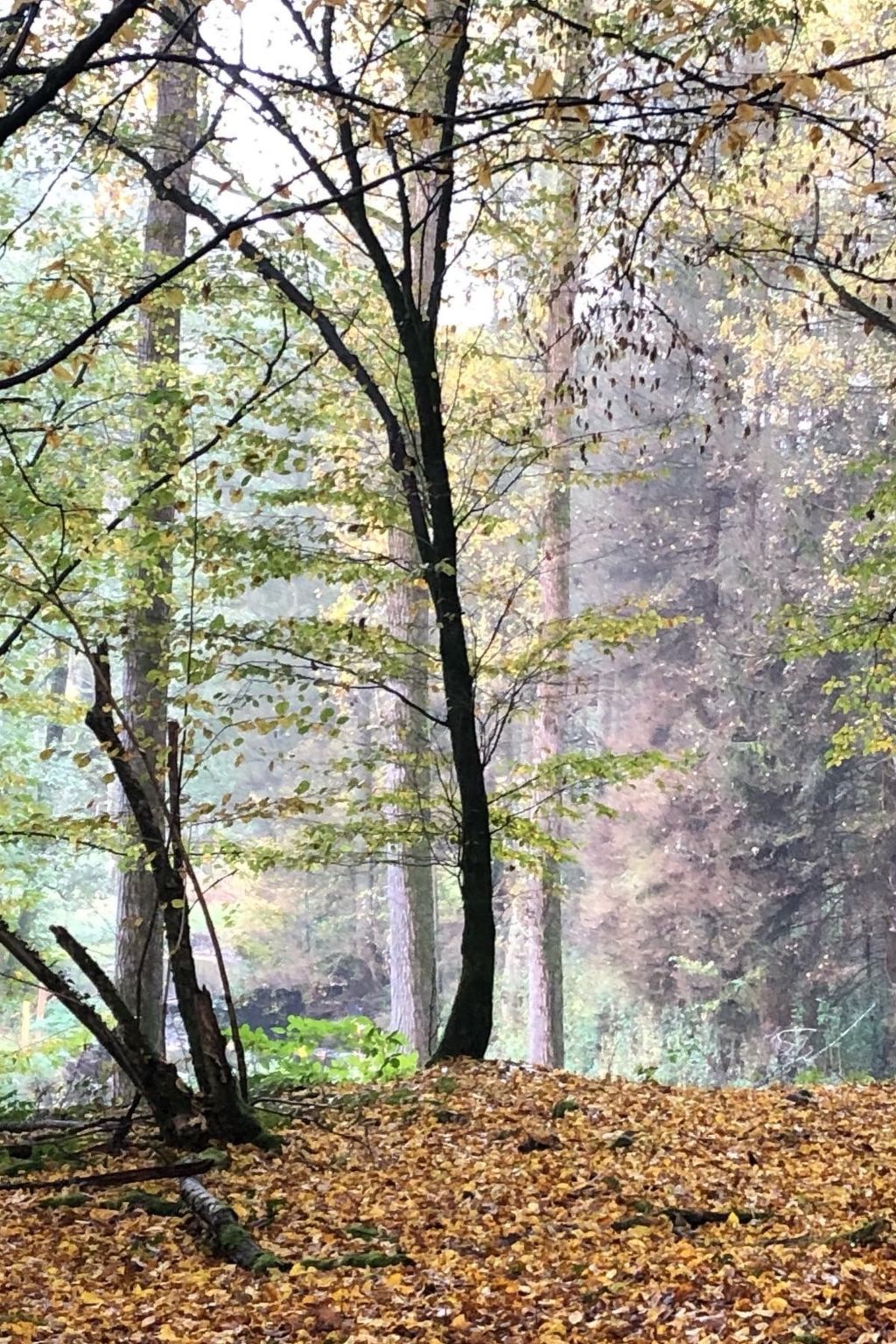 Gartenblick-Image-tags.info