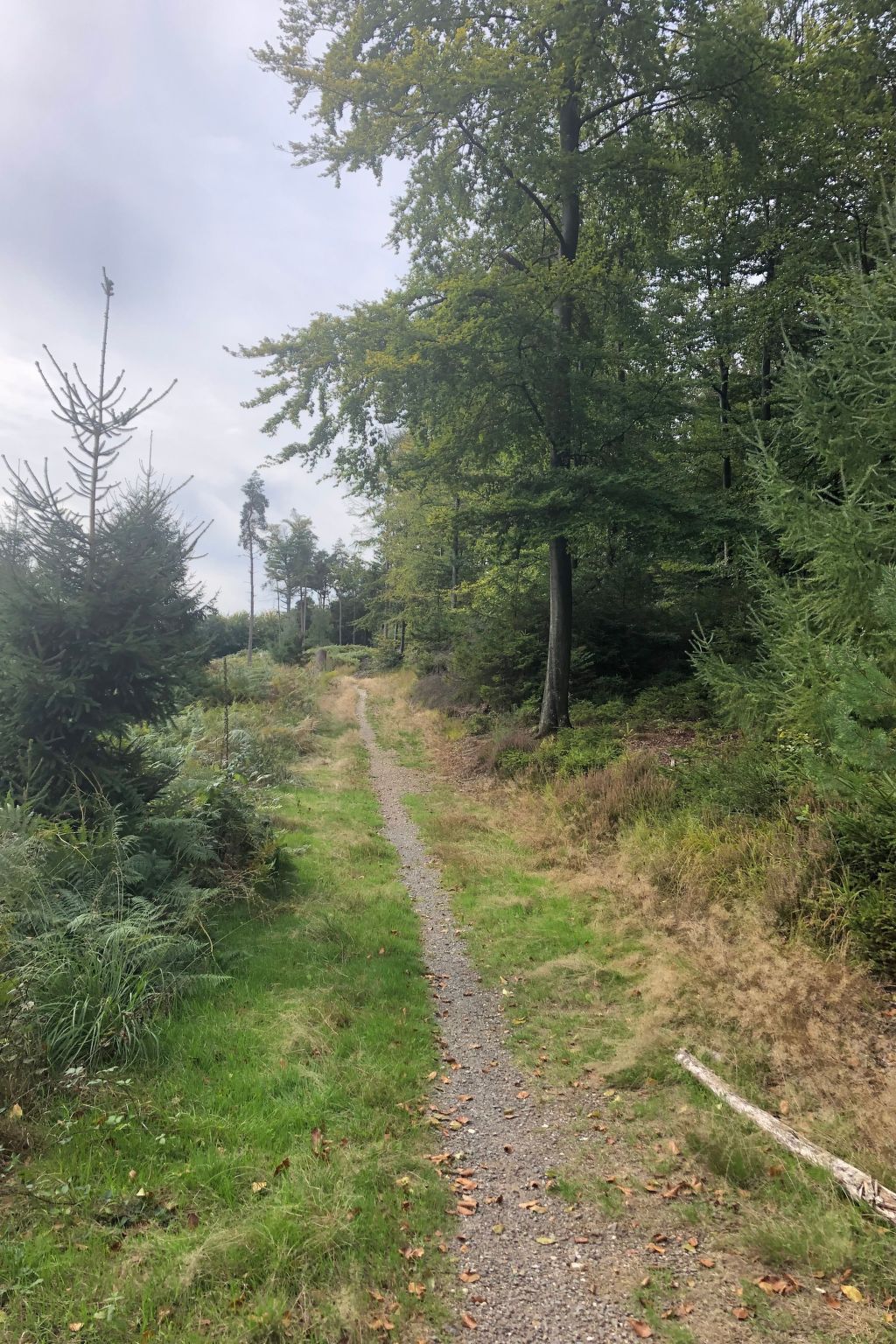 Gartenblick-Image-tags.info