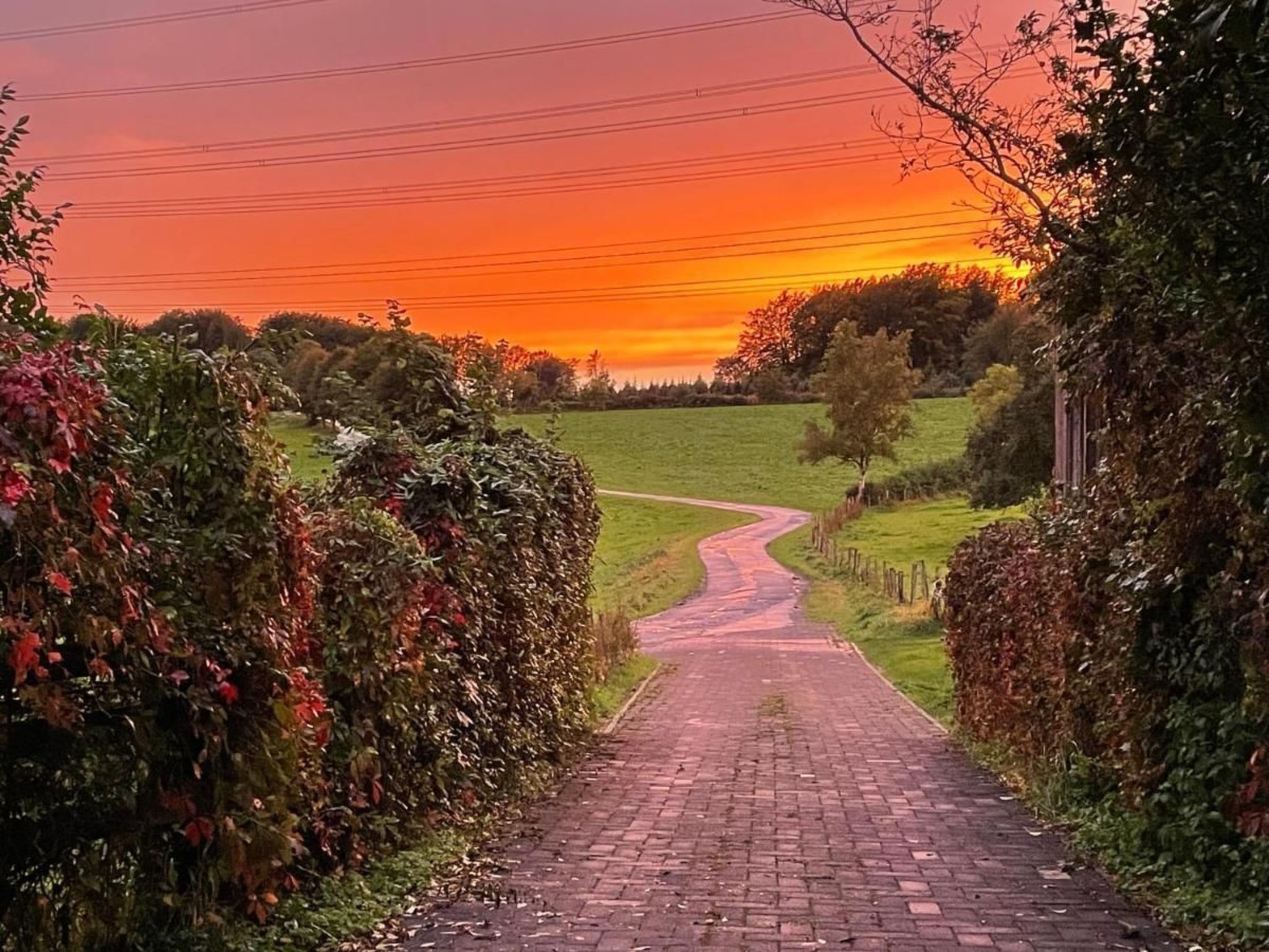 Sehr ruhige, idyllische Wohnung in Hückeswagen-Image-tags.info