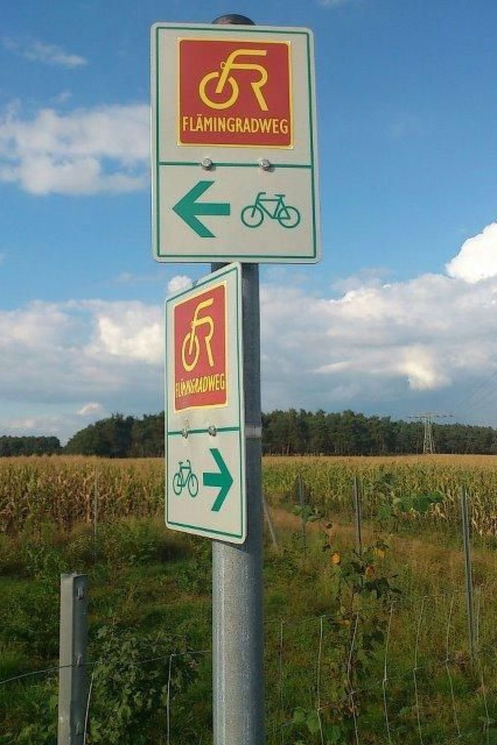 In ruhiger Lage am Waldrand mit Terrasse und großem Grundstück-Binnen